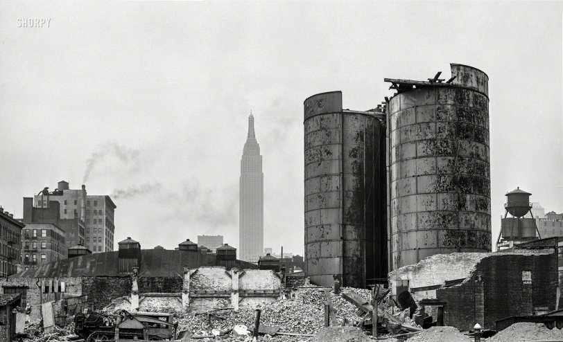 SHORPY 8b16065a1.preview