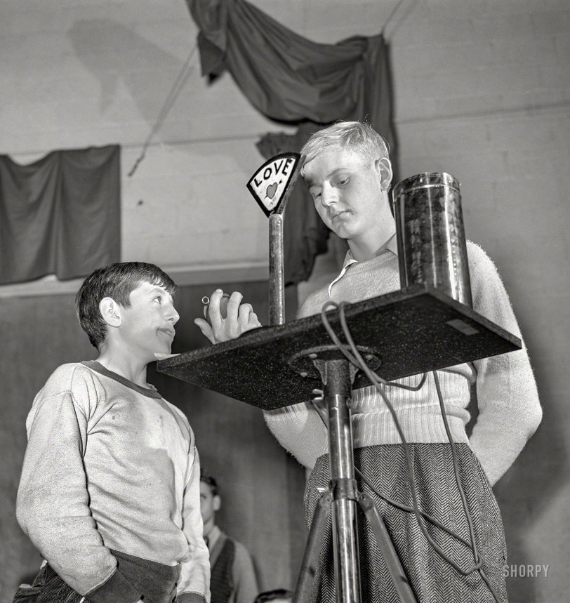 SHORPY 8b16118a1.preview