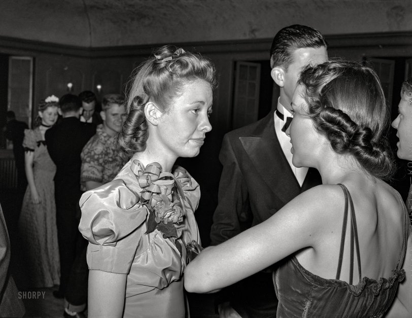 SHORPY 8b24159a.preview