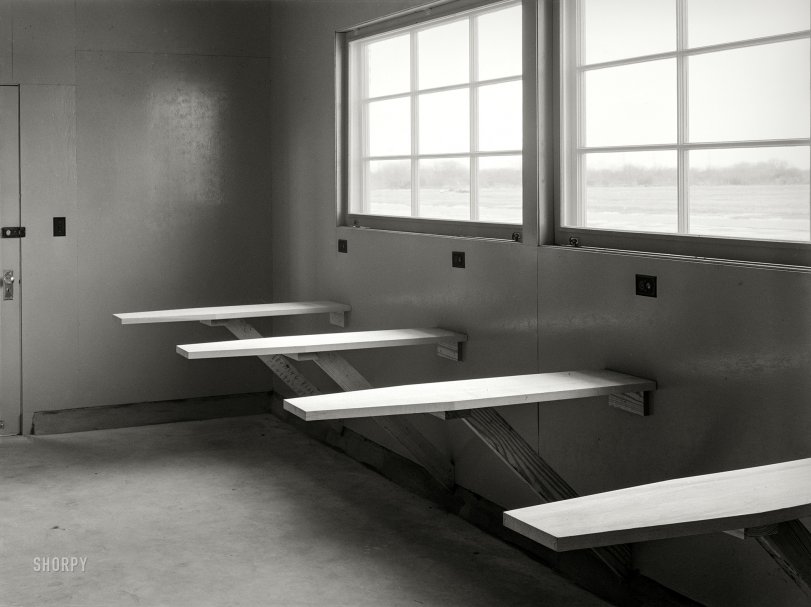 SHORPY 8b24294a.preview