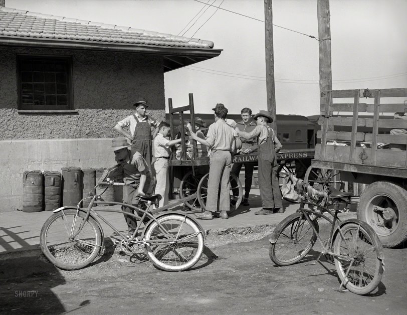 SHORPY 8b26133a1.preview