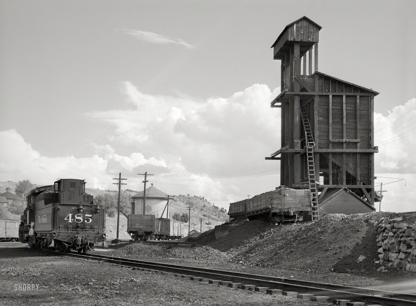 SHORPY 8b26359a.preview