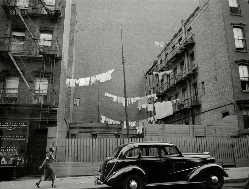 SHORPY 8c35315a.preview