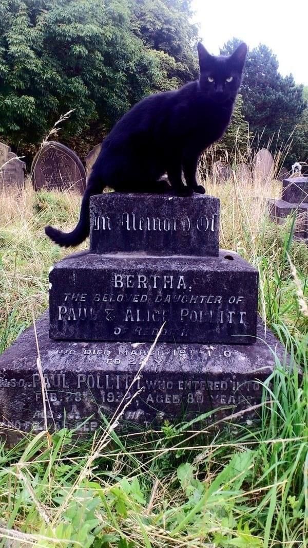 a2b0d0b8d9ea55f98131c23359819ca7