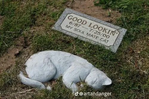 a377c2b8a56bbec57200df1a5774a8f1