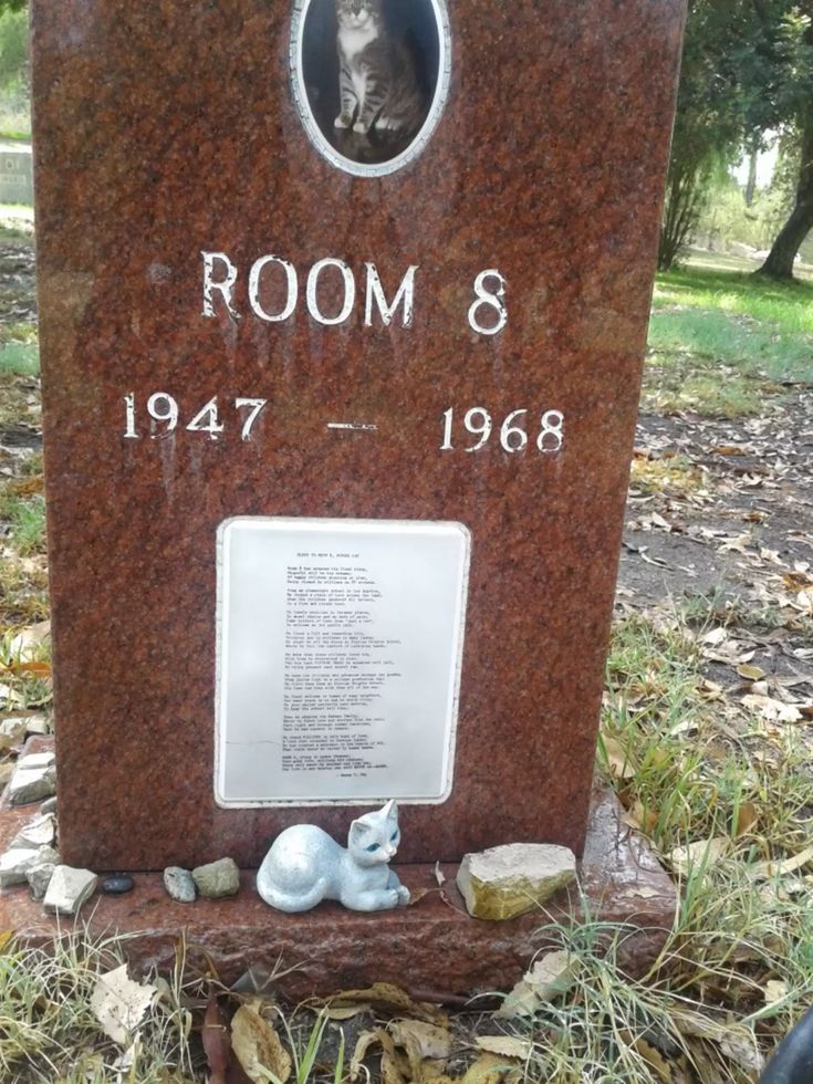 ace155ca169024ad004e9b0a27768e52