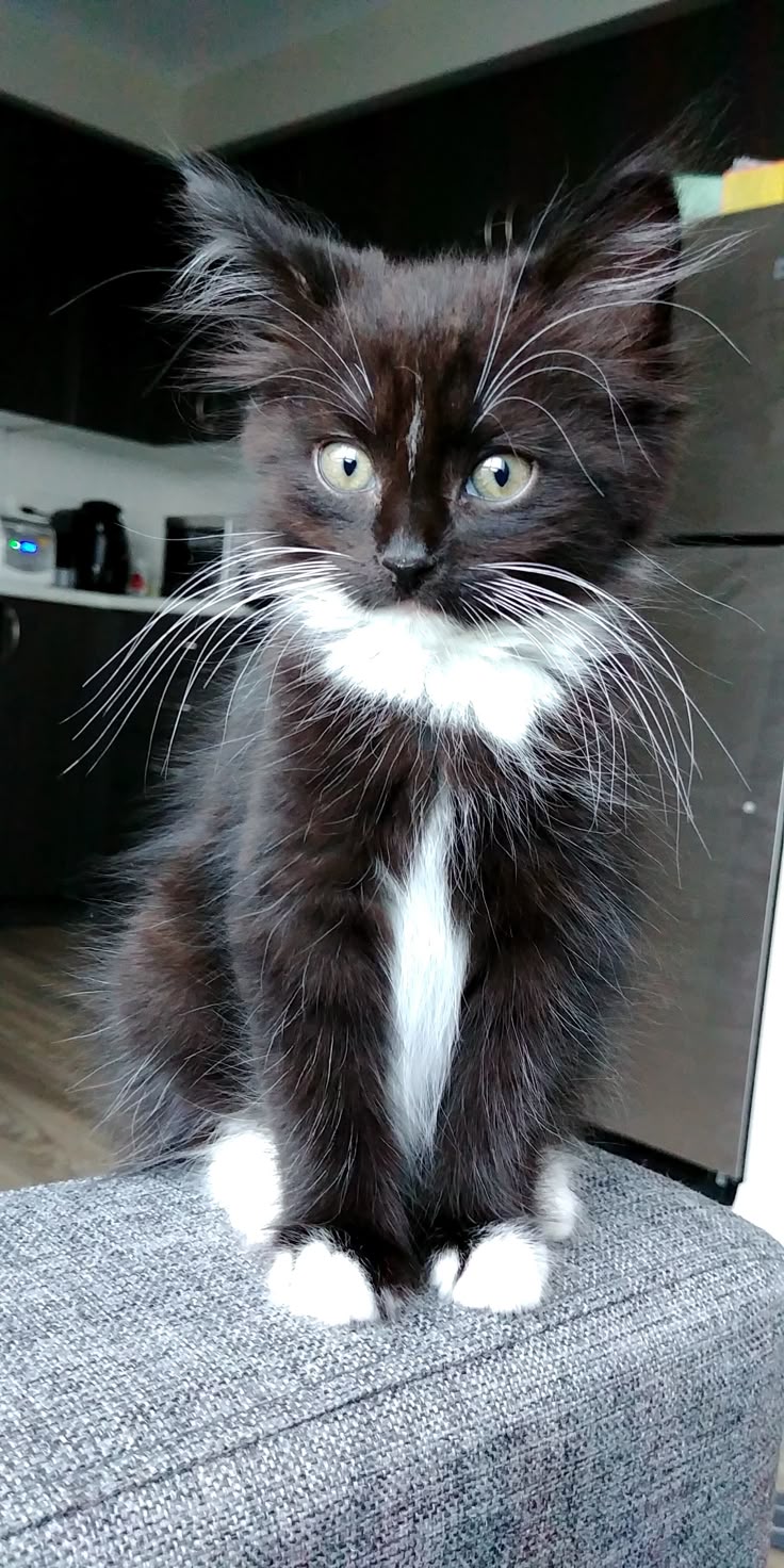 b569dc8b70a3c5eead02ec72816ade29