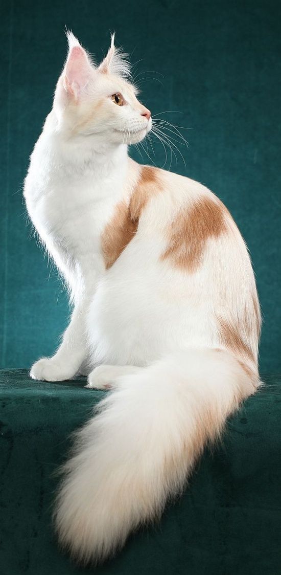 c9d8d3f259da1a7c19c60bc6357568ab