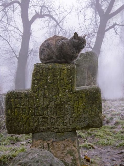 d7a863dee8a4cd013591810b3b2de74d