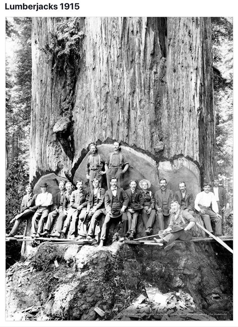 0099d2afe3d9c1327f2ea371e7c458f8