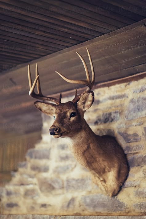 0a89f833a6b08eaab854669a53971b64