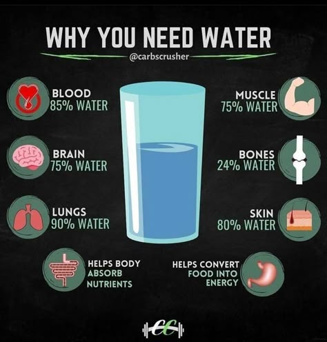 12d904dfe3ac94bf26fccef77d41c1f1