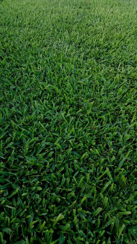 36d27bb9e999a3d5d827512eb70031ae