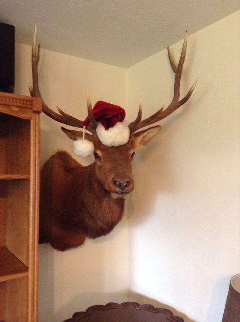 498c3f2590a9f7b9aba4755063e5a33c