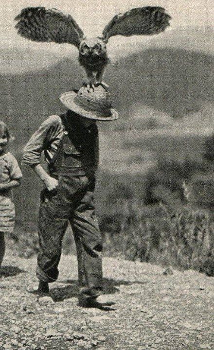 59d803a85bae747a2502795aff011a25