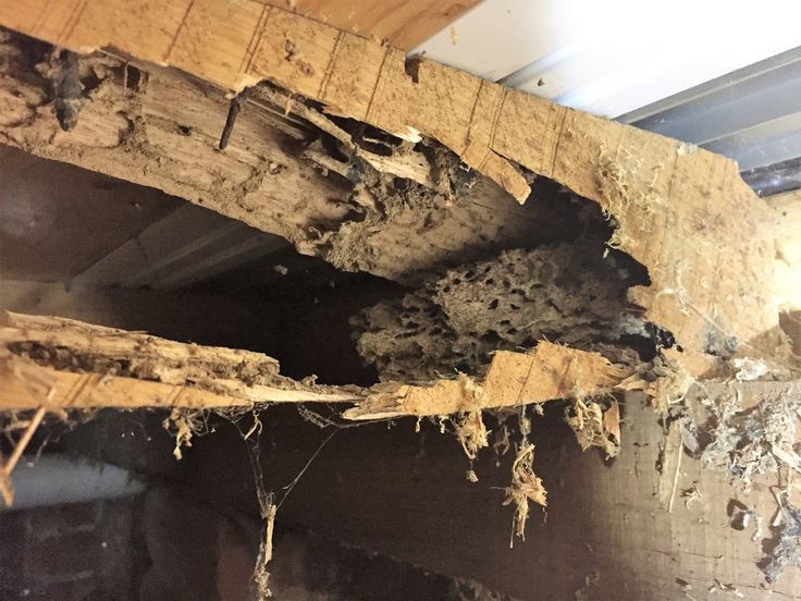 5dba4467d4d0c90413ce2ae7eaedb614