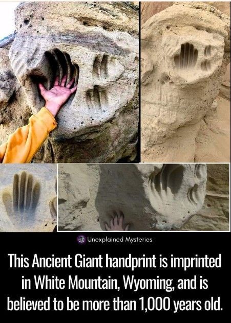 61625f8eedce38a99a5c8e6a9d1672f2