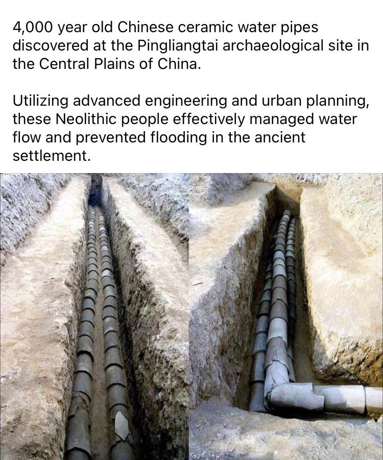 72bc31655d041c0d390a52cb6a86e523