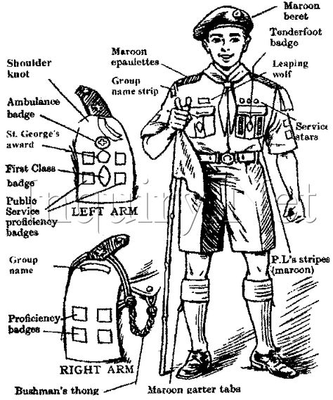 7efe494378f81939ca8ee05af3fb7696