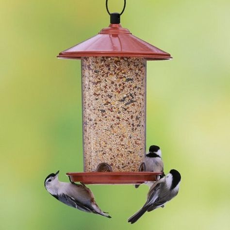 8eea5808f6e08809452f66be43d66d7e