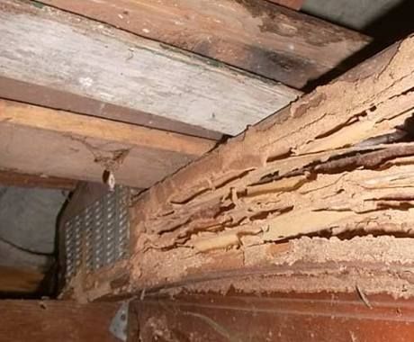 937673b1094591affa63a04904c65648