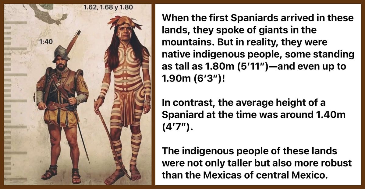 Processed with MOLDIV