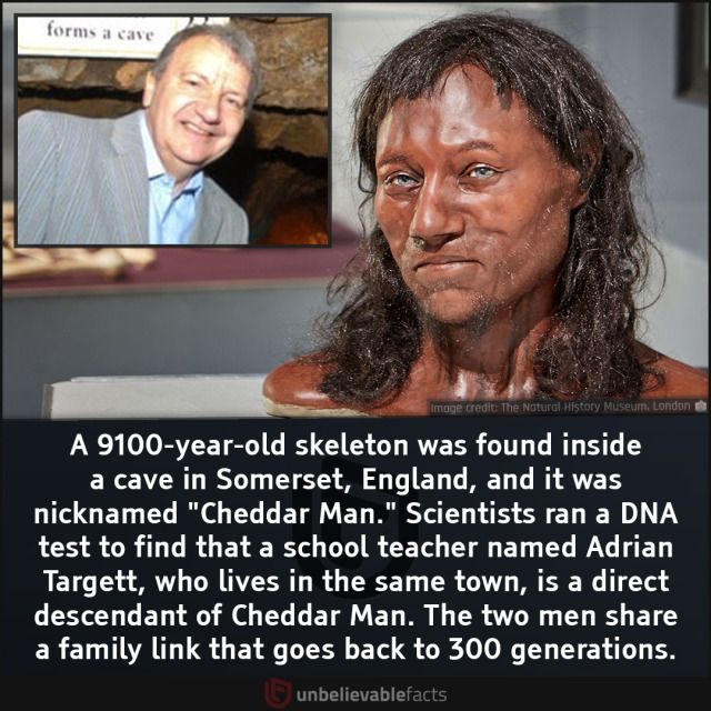 9c3fab73f092af87b1bff96f49ef52c3