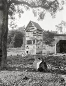 SHORPY 04879a.preview