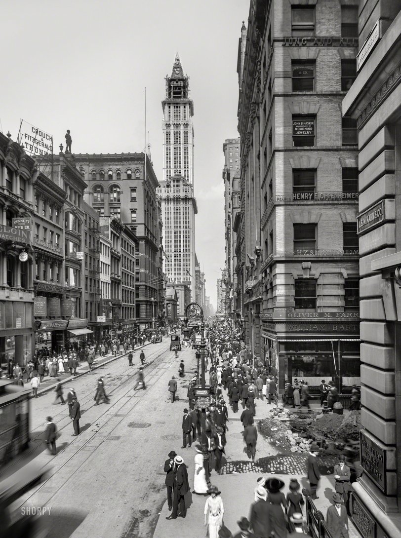 SHORPY 4a25583a.preview