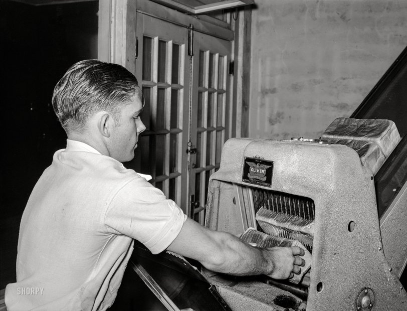 SHORPY 8b23569a.preview