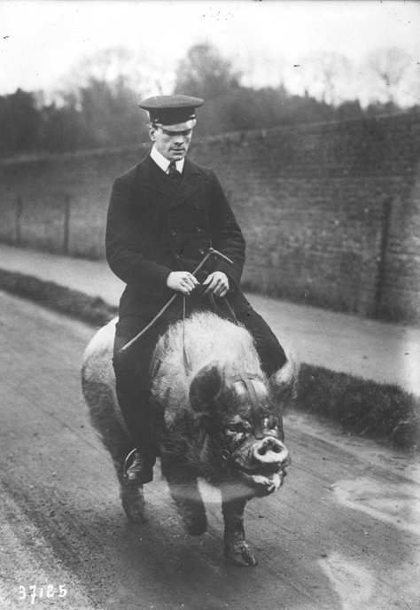 b8a145a33342c1a099626743583fbda0