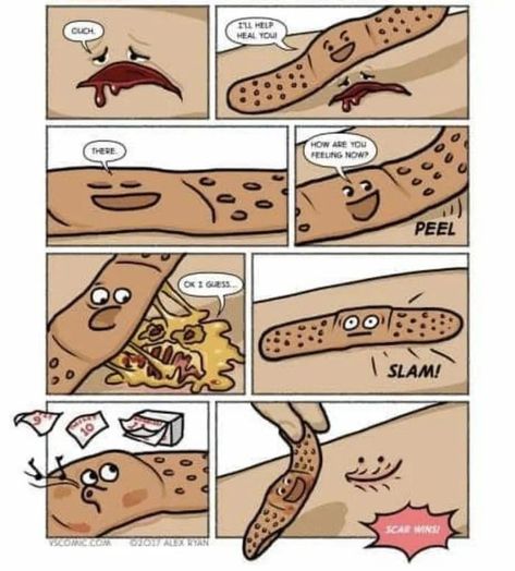 c86dc0729f21a2546ce7066c62323e31