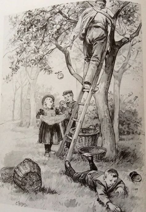 cf95c3a6afd9446459e6e8fa69530e4f