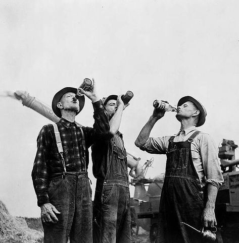 e2500453a6026e82a629ab1803ec7a60