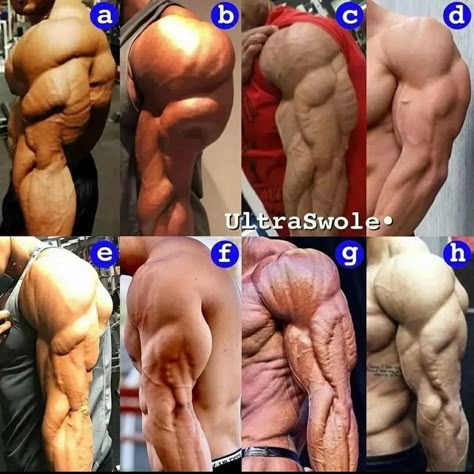 f1110f9c1d54a1889e64b9b378383d92