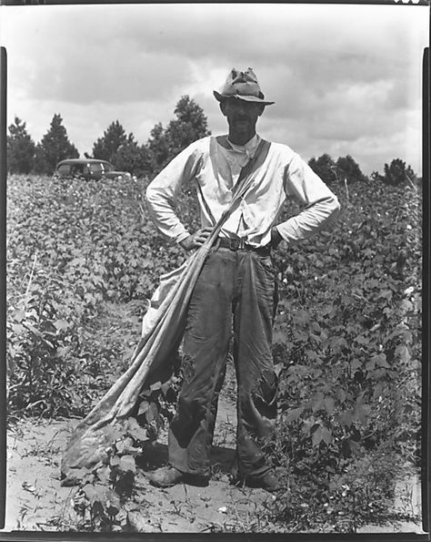 fe55ac8a351a87075dedc3f394627d0d