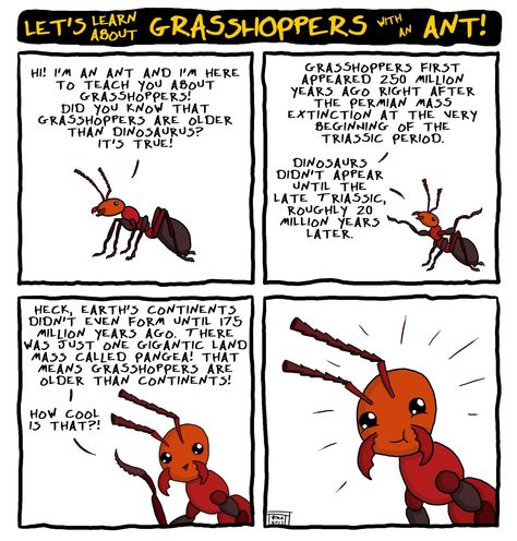 1da46ebcf306b896ee9364e2b04ee330