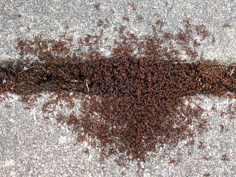 2ece86841240905e57561f1538b777a0