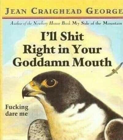 43c58c597fdb21454956fc941b7b3e6a