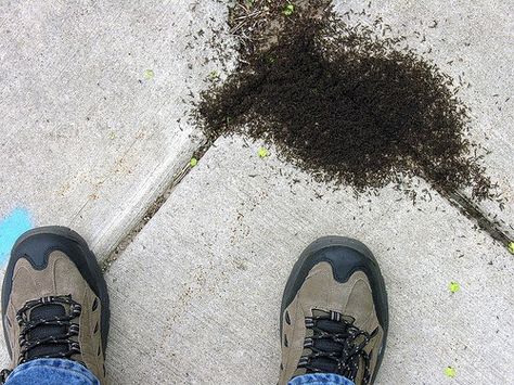 5a9720368cfc67071d87b9589f9a2eb4