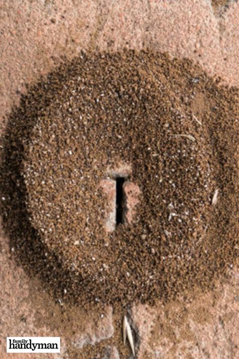 9f0d56241214c1c6f1dd298b1c69e151