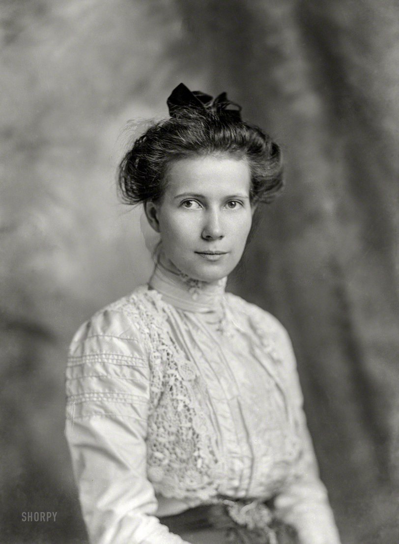 SHORPY 11798a1.preview