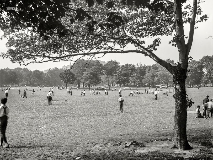 SHORPY 4a11682a.preview