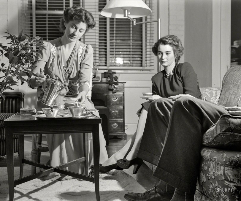 SHORPY 8b07653a.preview