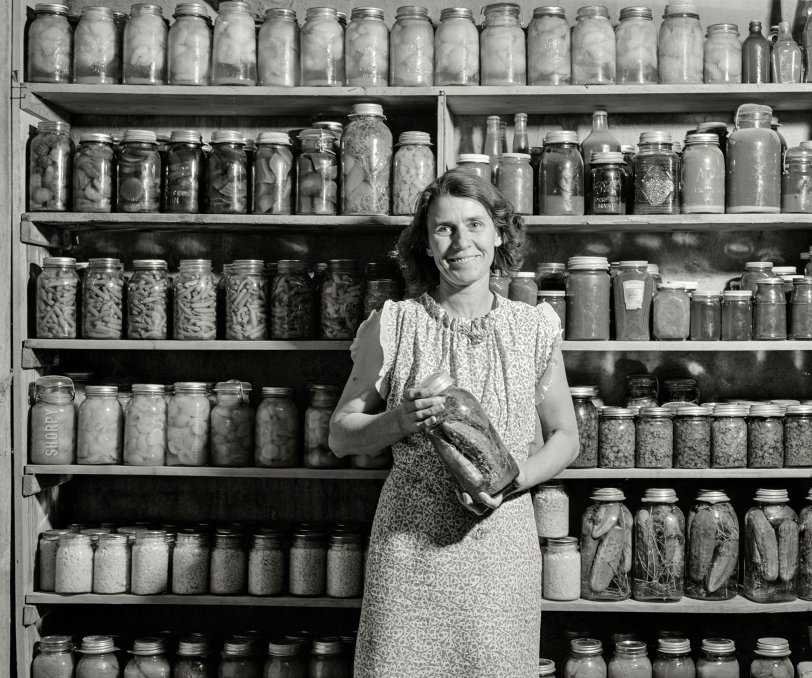 SHORPY 8b18765a.preview