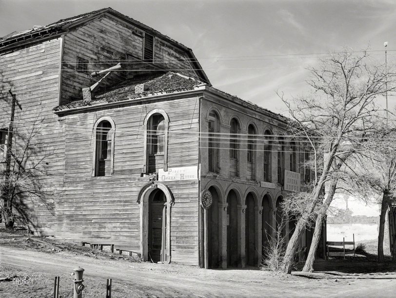 SHORPY 8b19632a.preview