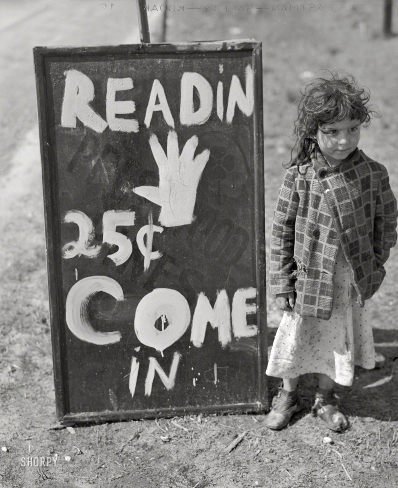 SHORPY 8c02427u.preview