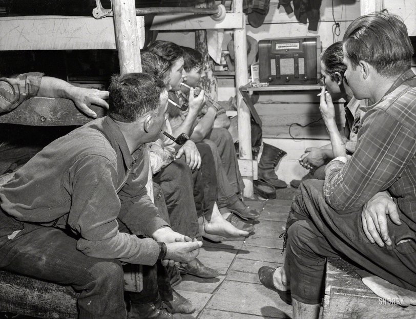 SHORPY 8d19388u.preview