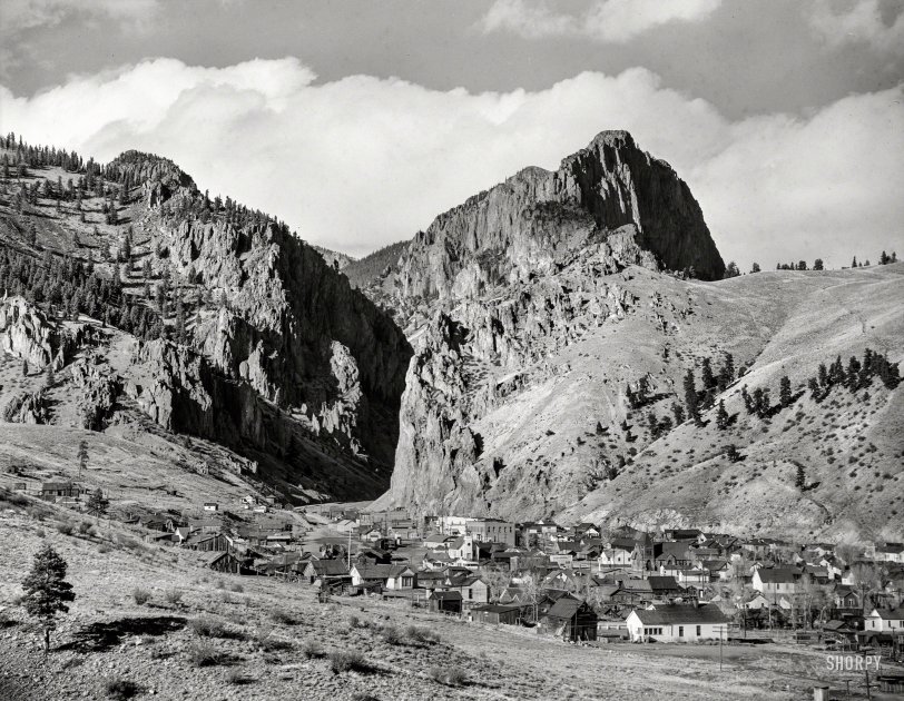 SHORPY 8d45223a.preview