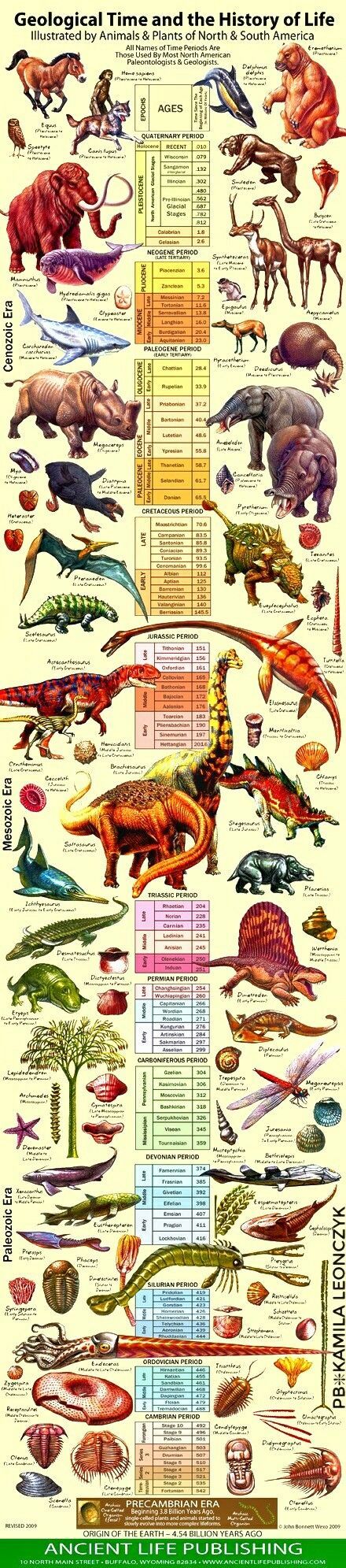 d16e56335a4a7cd51e3b185139f18cb2